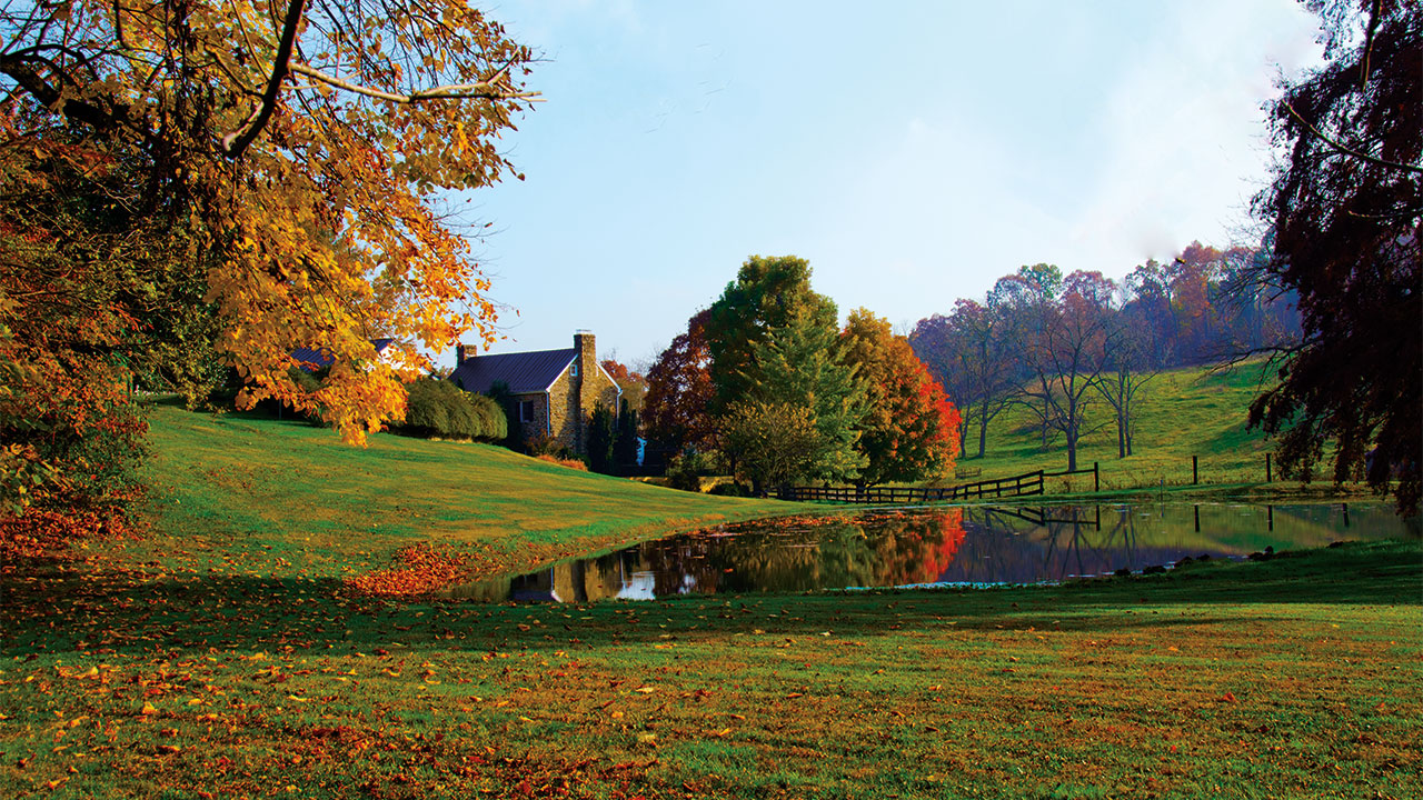 The Gilmour Legacy: Nurturing Childhood Through Music and Memory